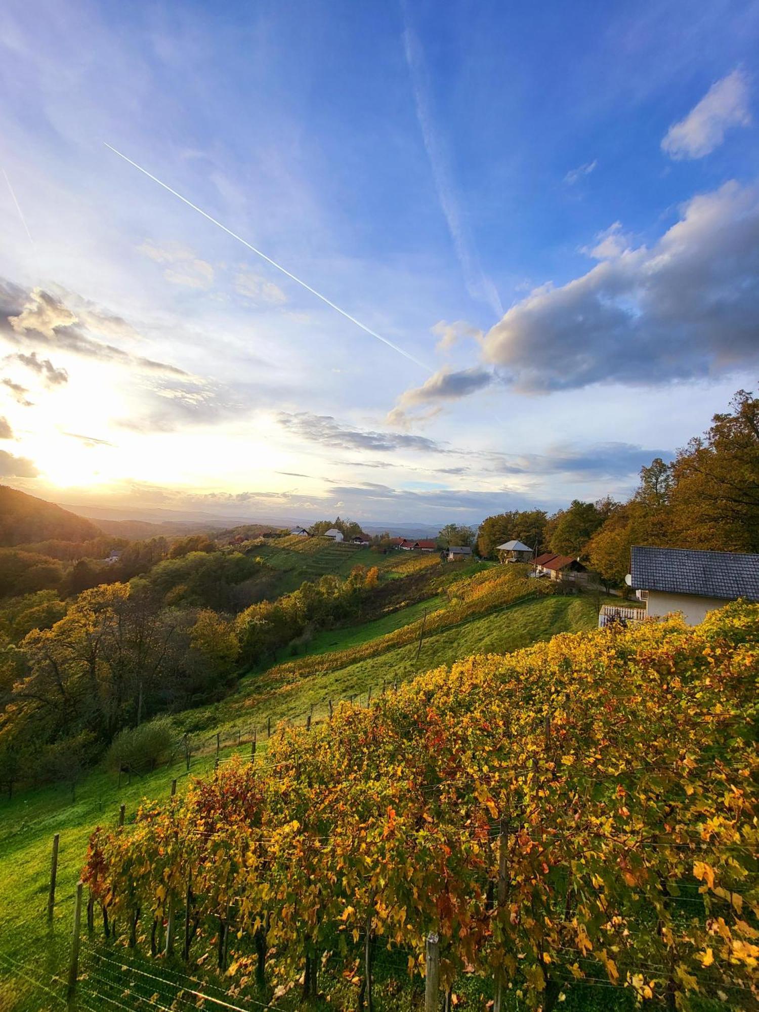 Trebnje Vineyard Cottage Soncni Gric מראה חיצוני תמונה