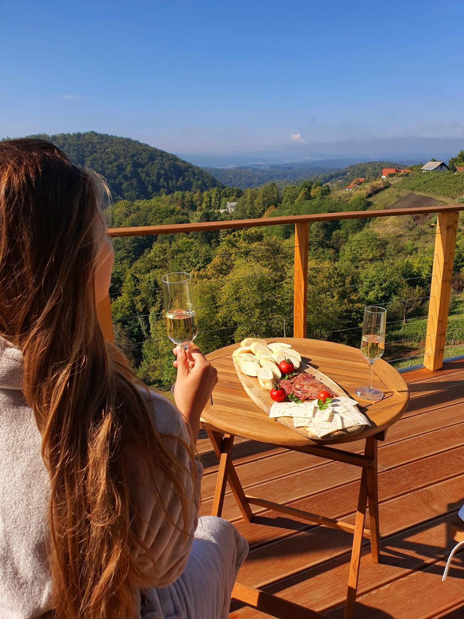 Trebnje Vineyard Cottage Soncni Gric מראה חיצוני תמונה