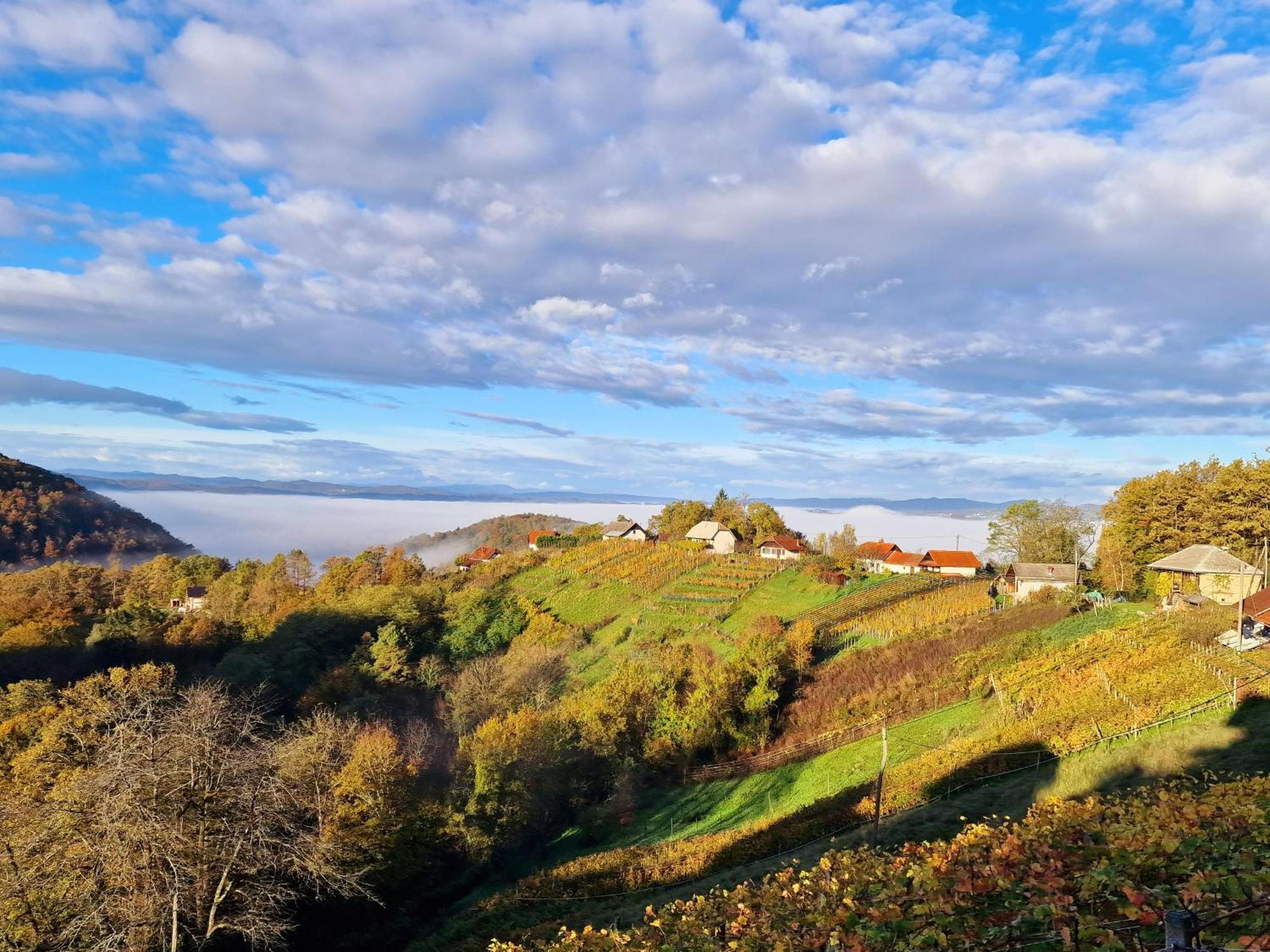 Trebnje Vineyard Cottage Soncni Gric מראה חיצוני תמונה